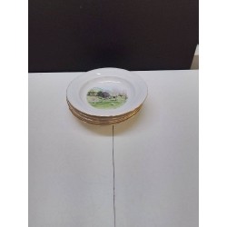 LOT D ASSIETTES DECO CAMPAGNE