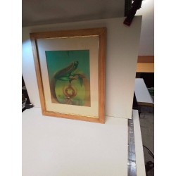 CADRE NUMÉROTÉE APFELFROSCH