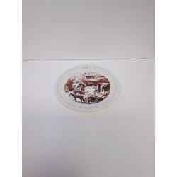 ASSIETTE DECORATIVE VILLEROY&BOCH OGBL