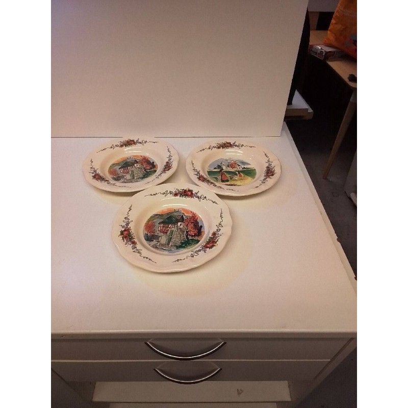 LOT D\'ASSIETTES SARREGUEMINES 