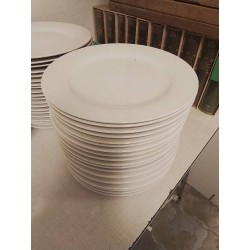 LOT D’ASSIETTES BLANCHES 