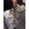 LUSTRE A FLEURS 