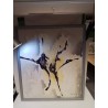 HUILE SUR TOILE SIGNEE MANGEN NORBERT