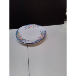 LOT ASSIETTES ARCOPAL