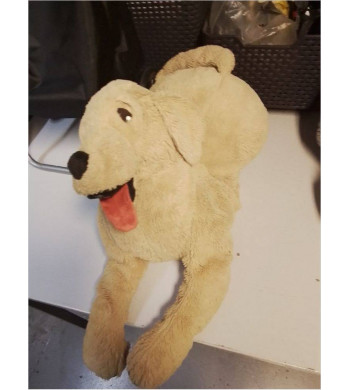 CHIEN PELUCHE 