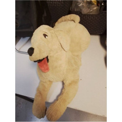 CHIEN PELUCHE 
