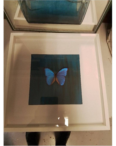 CADRE PAPILLON