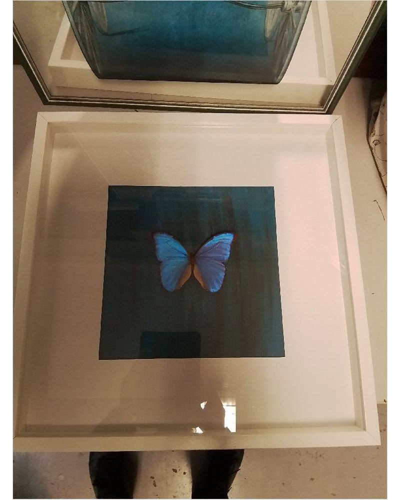 CADRE PAPILLON