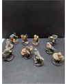 COLLECTION OISEAUX VOGELWELT