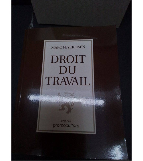 LIVRE DROIT DU TRAVAIL 