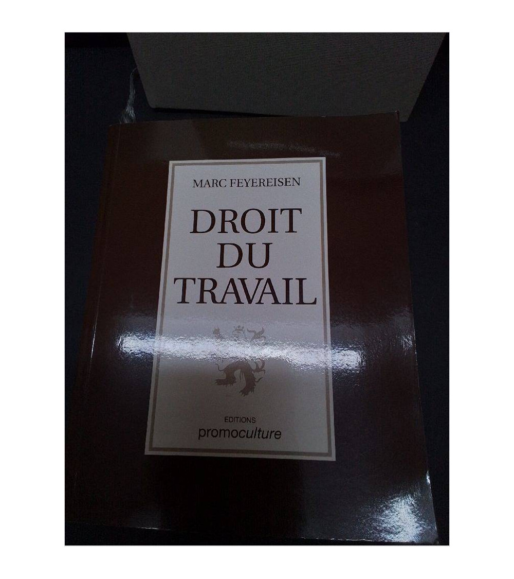 LIVRE DROIT DU TRAVAIL 