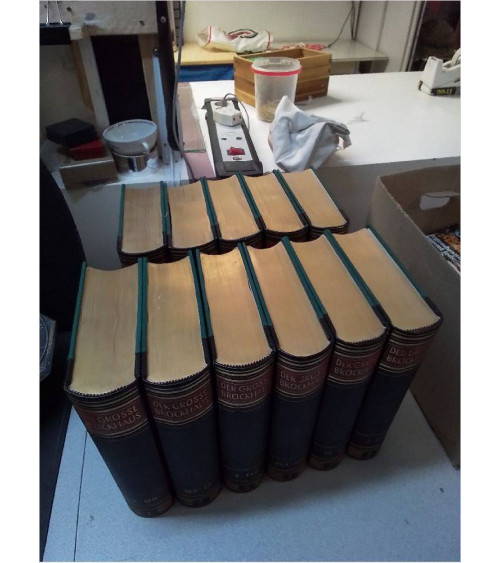 LOT LIVRES BROCKAUS 