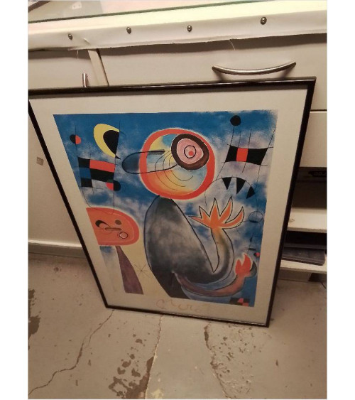 REPRODUCTION MIRO