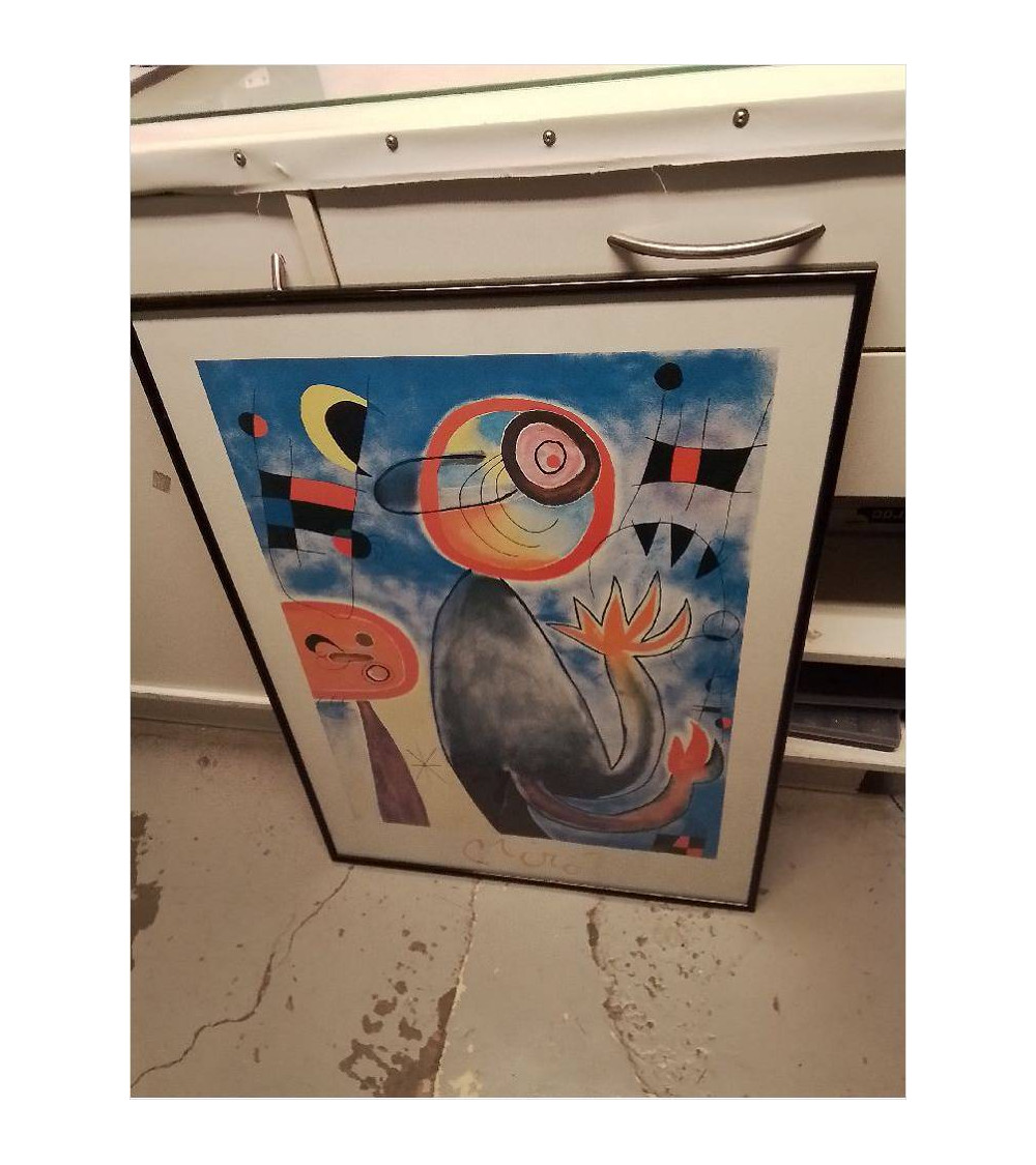 REPRODUCTION MIRO