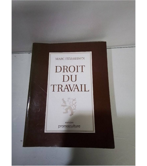 LIVRE DROIT DU TRAVAIL 