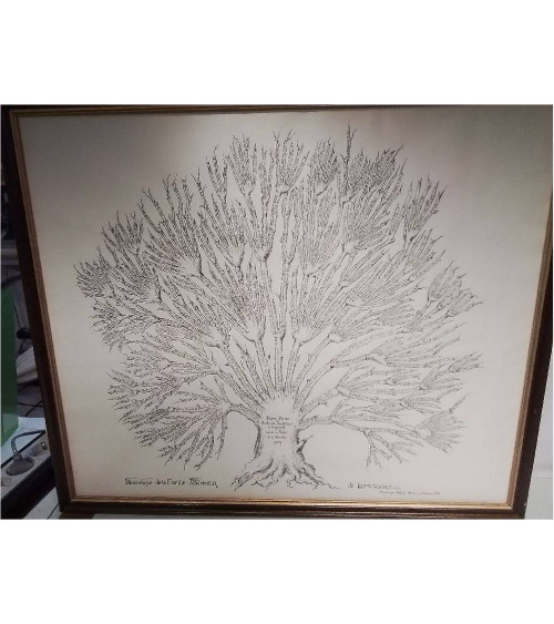 TABLEAU ARBRE GÉNÉALOGIQUE 