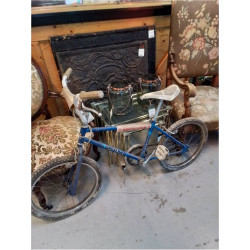 BMX GOTTFRIED 