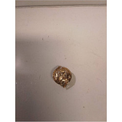 BROCHE MILITAIRE 