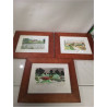 LITHOGRAPHIE MINGUET