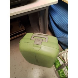 VALISE VERTE 