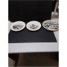 ASSIETTE COLLECTION VILLEROY&BOCH 