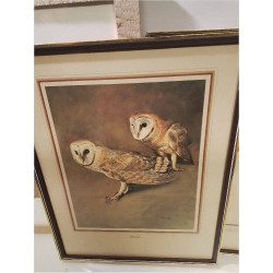 CADRE OISEAUX REPRO 