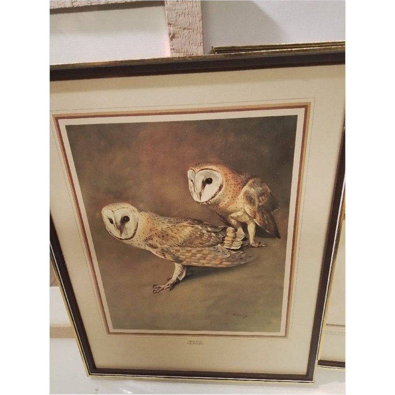 CADRE OISEAUX REPRO 