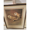 CADRE OISEAUX REPRO 