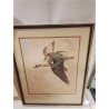 CADRE OISEAUX REPRO 