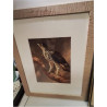 CADRE OISEAUX REPRO 