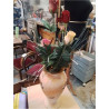 VASE VERRE ORANGE + DECO