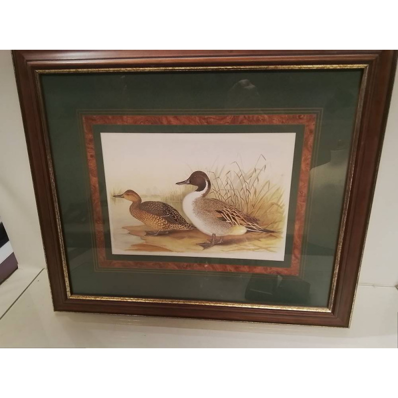 CADRE REPRODUCTION CANARDS