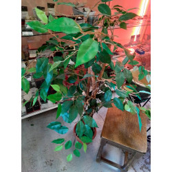 PLANTE ARTIFICIELLE 