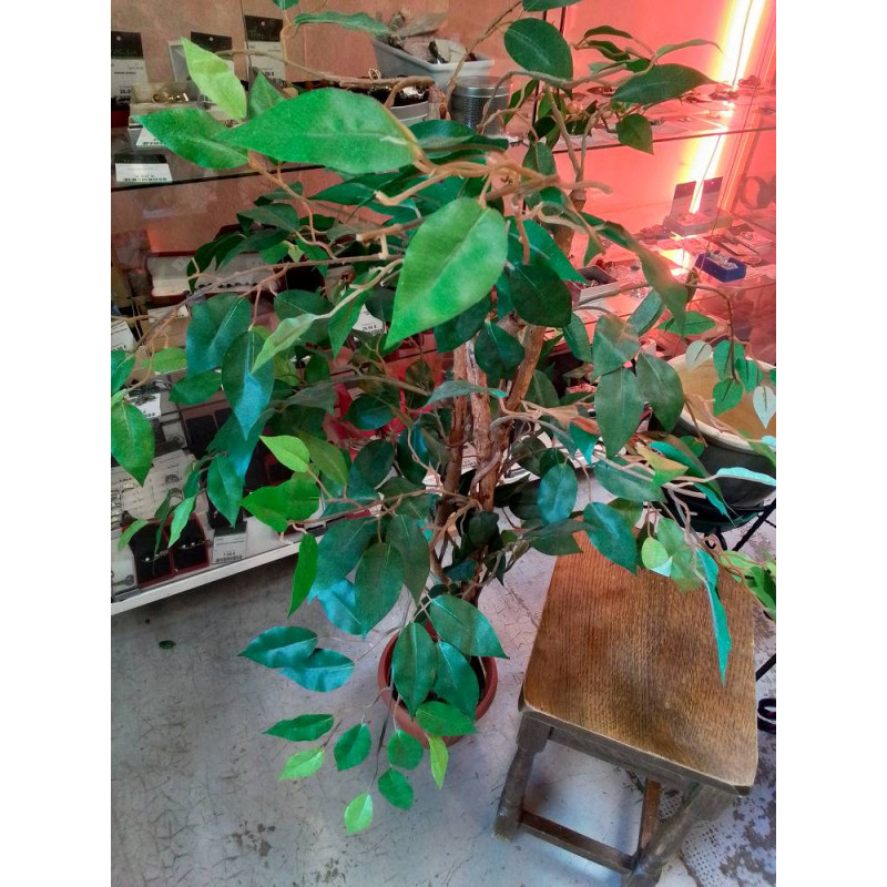 PLANTE ARTIFICIELLE 