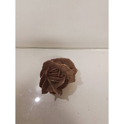 ROSE DES SABLES