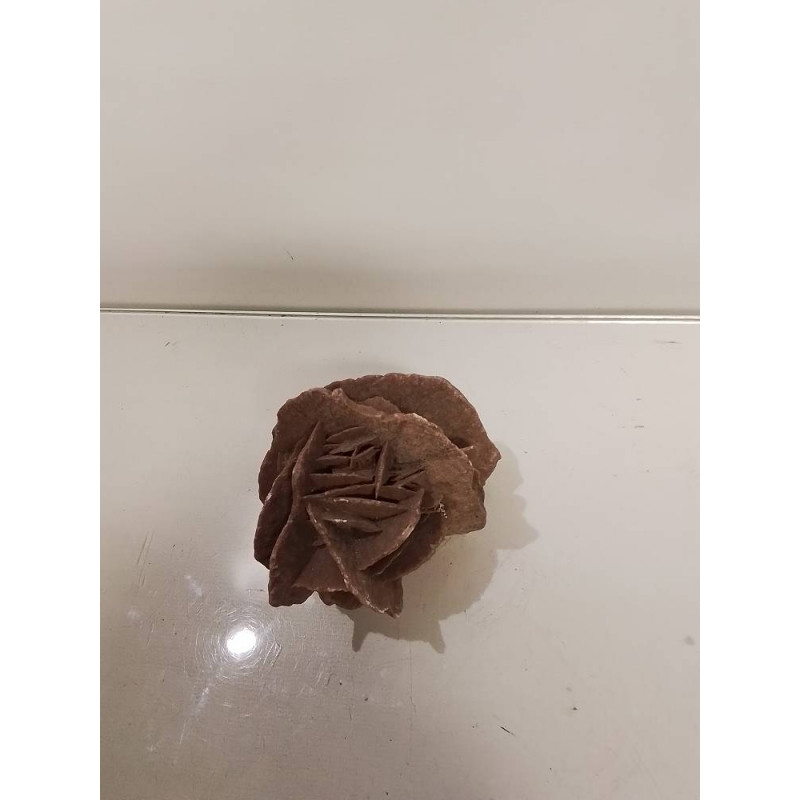 ROSE DES SABLES