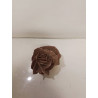 ROSE DES SABLES