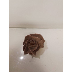 ROSE DES SABLES