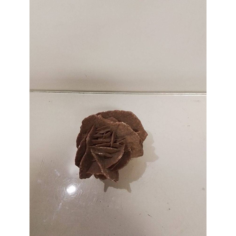 ROSE DES SABLES