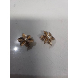 CLIPS D\'OREILLES 