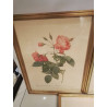 CADRE IMPRESSION REDOUTE 