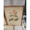 CADRE IMPRESSION REDOUTE 