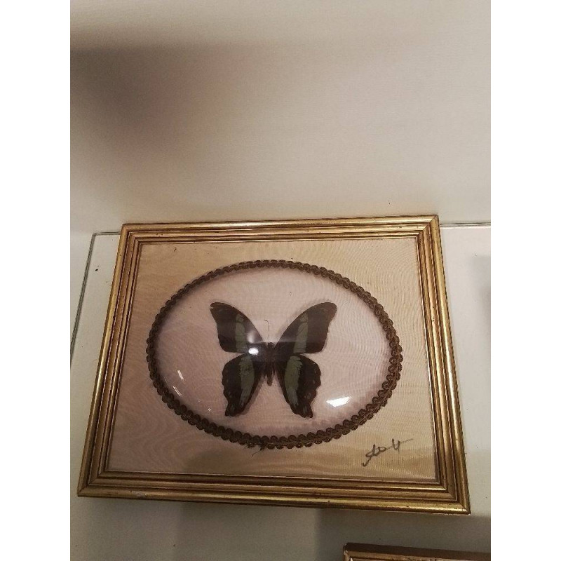 CADRE PAPILLON 