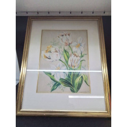 AQUARELLE FLEURS J. CASTI