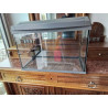 AQUARIUM TETRA