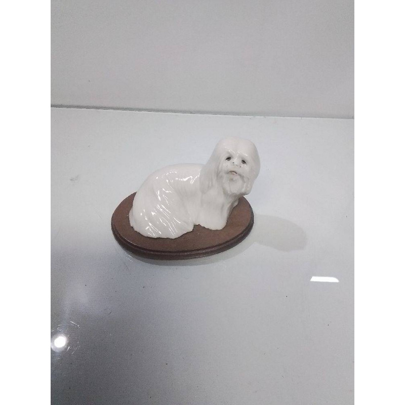 CHIEN CAPODIMONTE 
