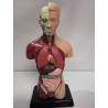 STATUETTE ORGANES 
