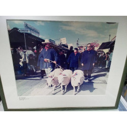 PHOTOGRAPHIE SCHUEBERFOUER
