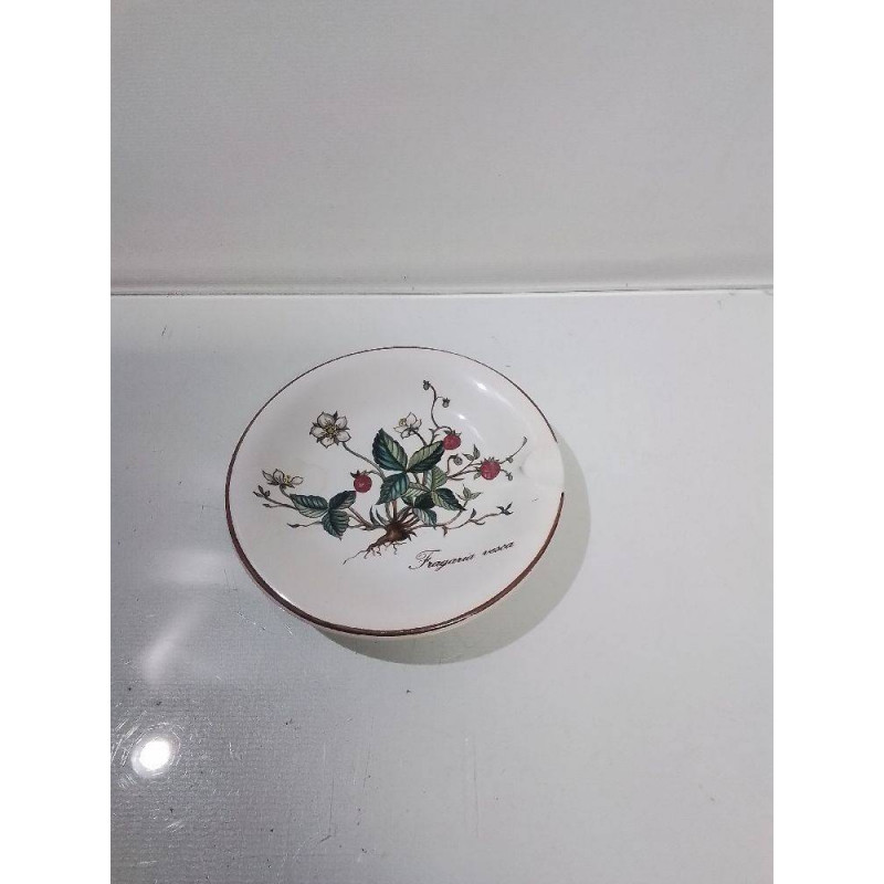 CENDRIER VILLEROY ET BOCH BOTANICA 