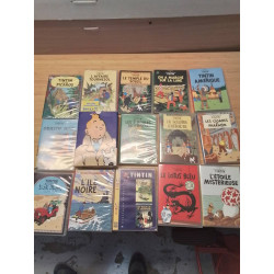 LOT DE DVD TINTIN
